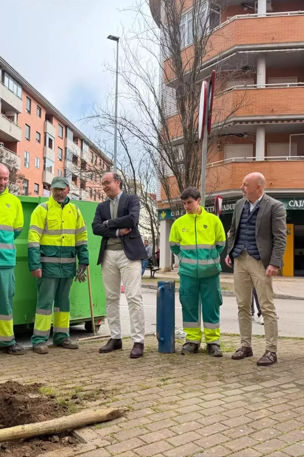 Revitalización Verde: Impulso a la Reforestación Urbana en España