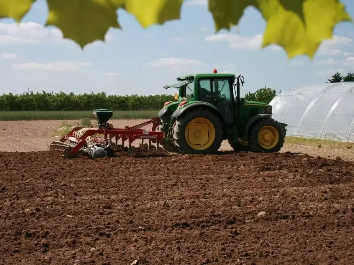 Incentivos para la Agricultura: Apoyo en la Adversidad del Sector