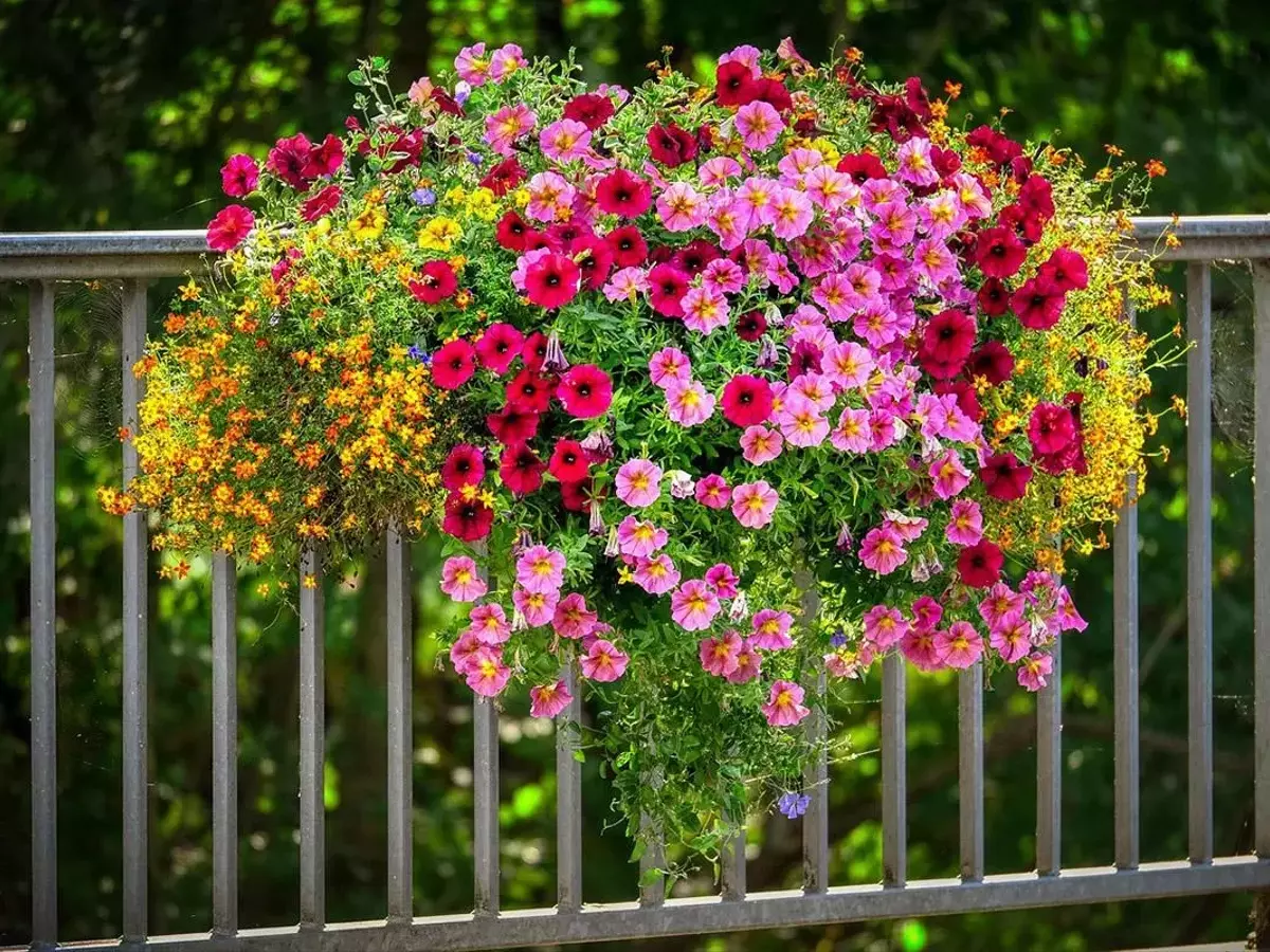 Secretos para un Jardín Florecido Todo el Año