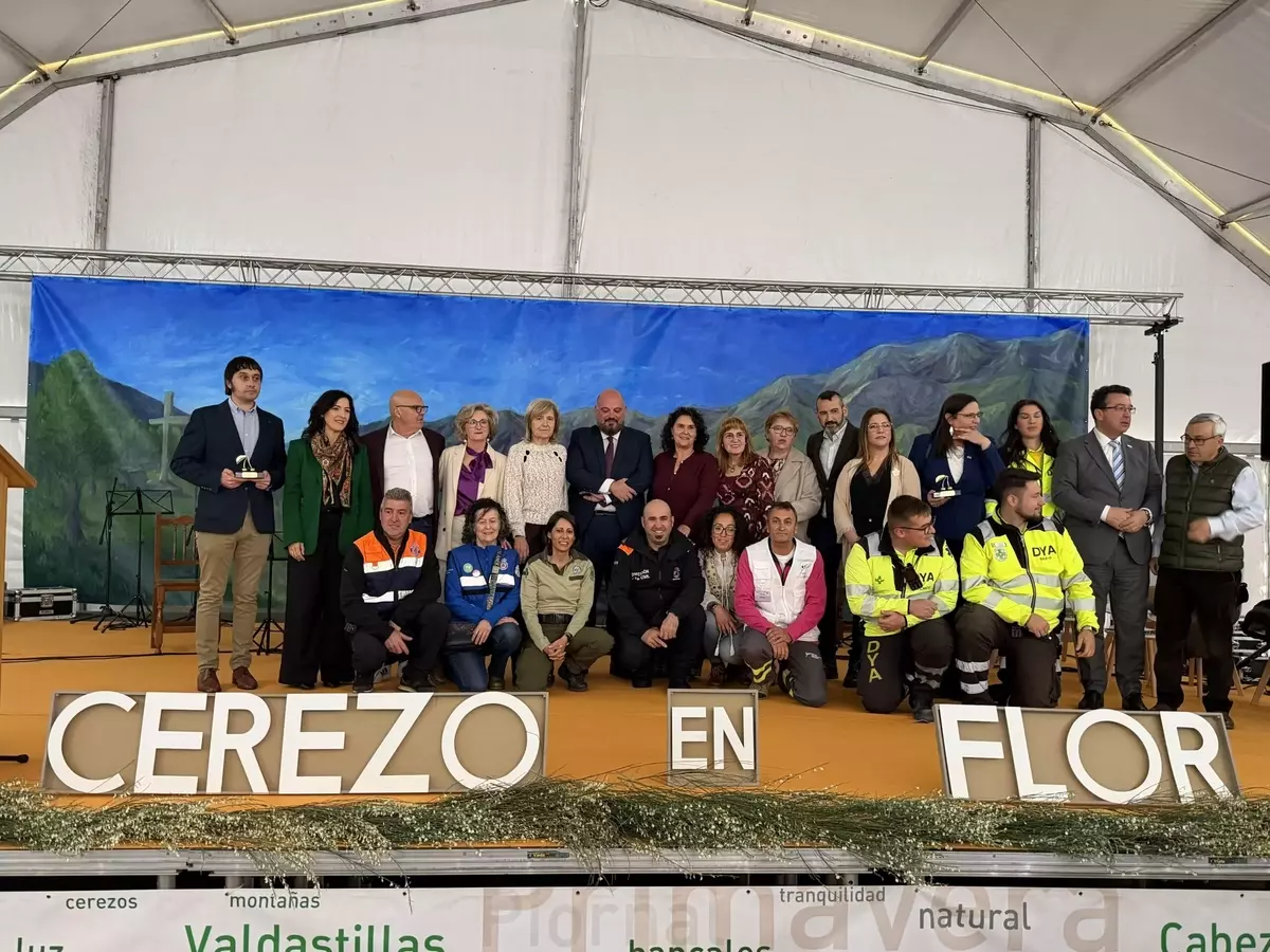 La explosión primaveral del Valle del Jerte: Cerezos en flor