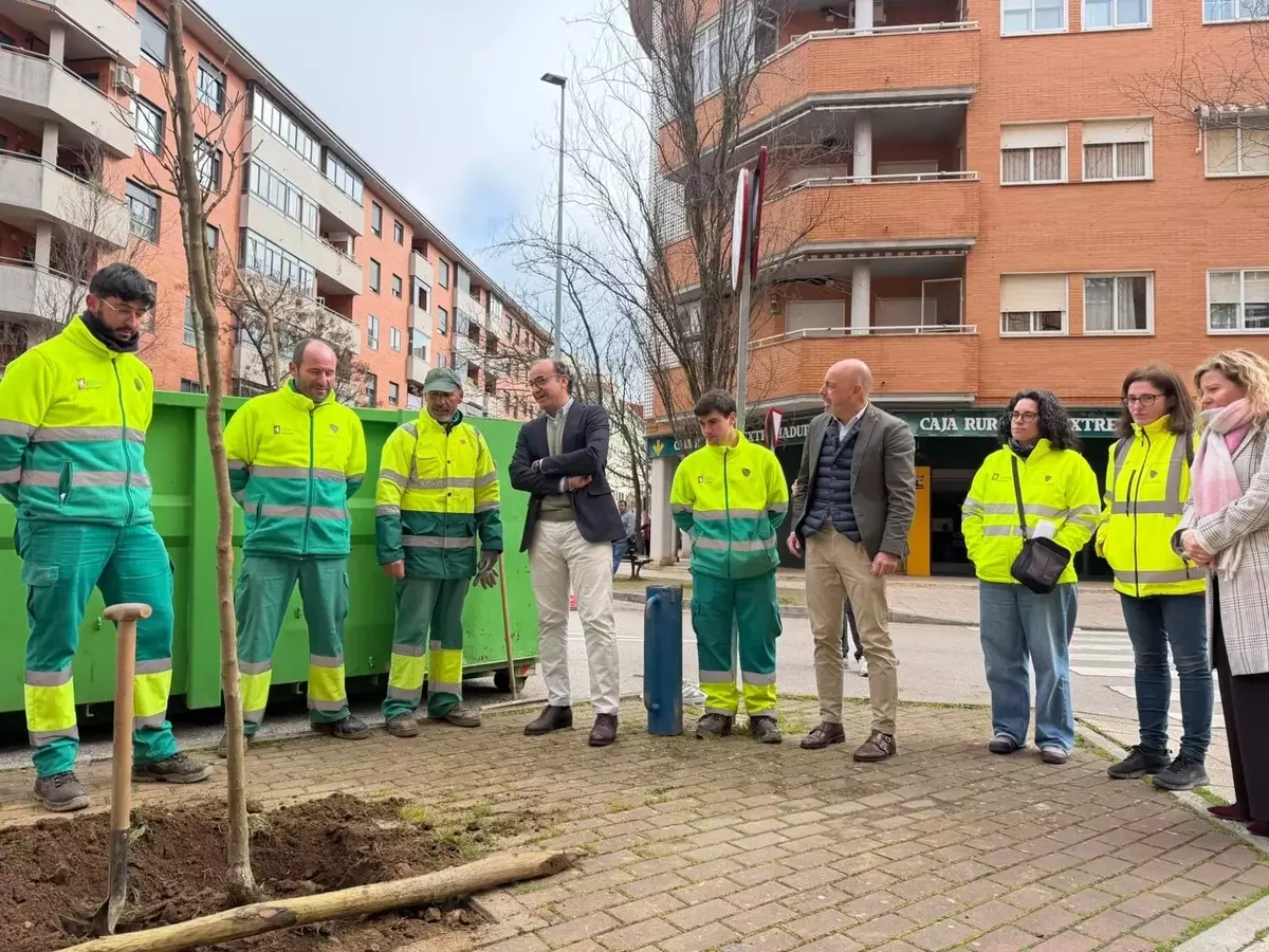 Revitalización Verde: Impulso a la Reforestación Urbana en España