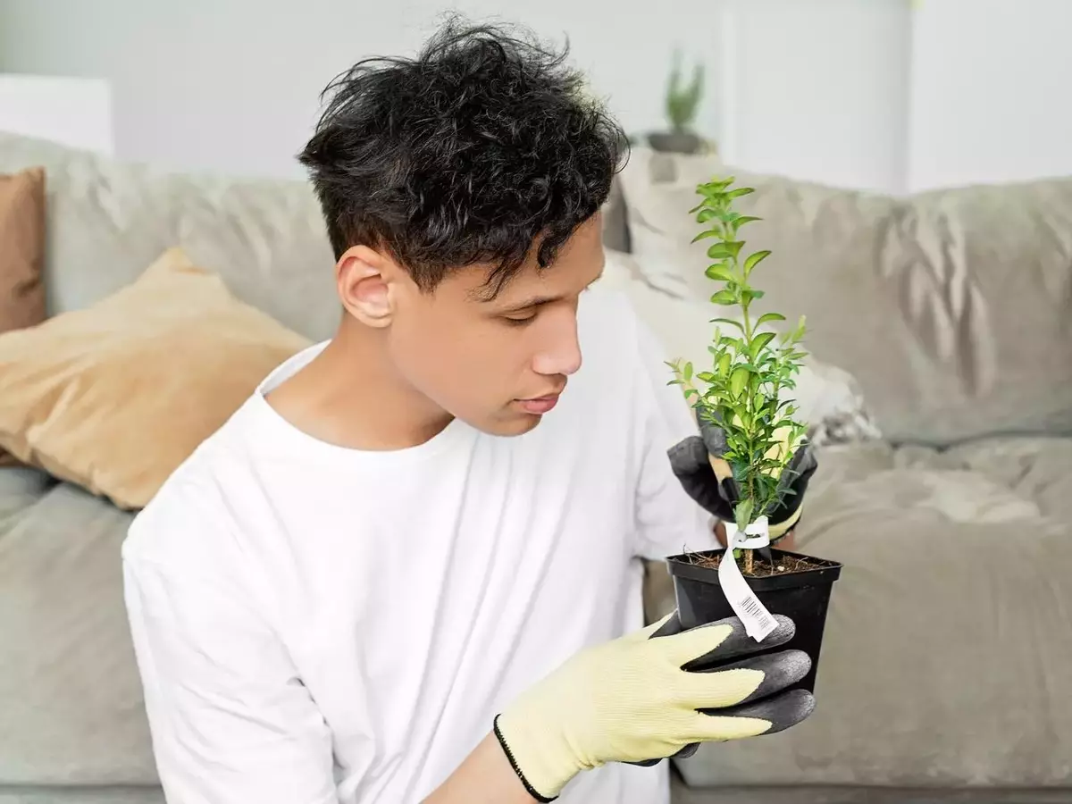 Descifrando el Lenguaje Silencioso de tus Plantas: Una Guía Integral para su Bienestar