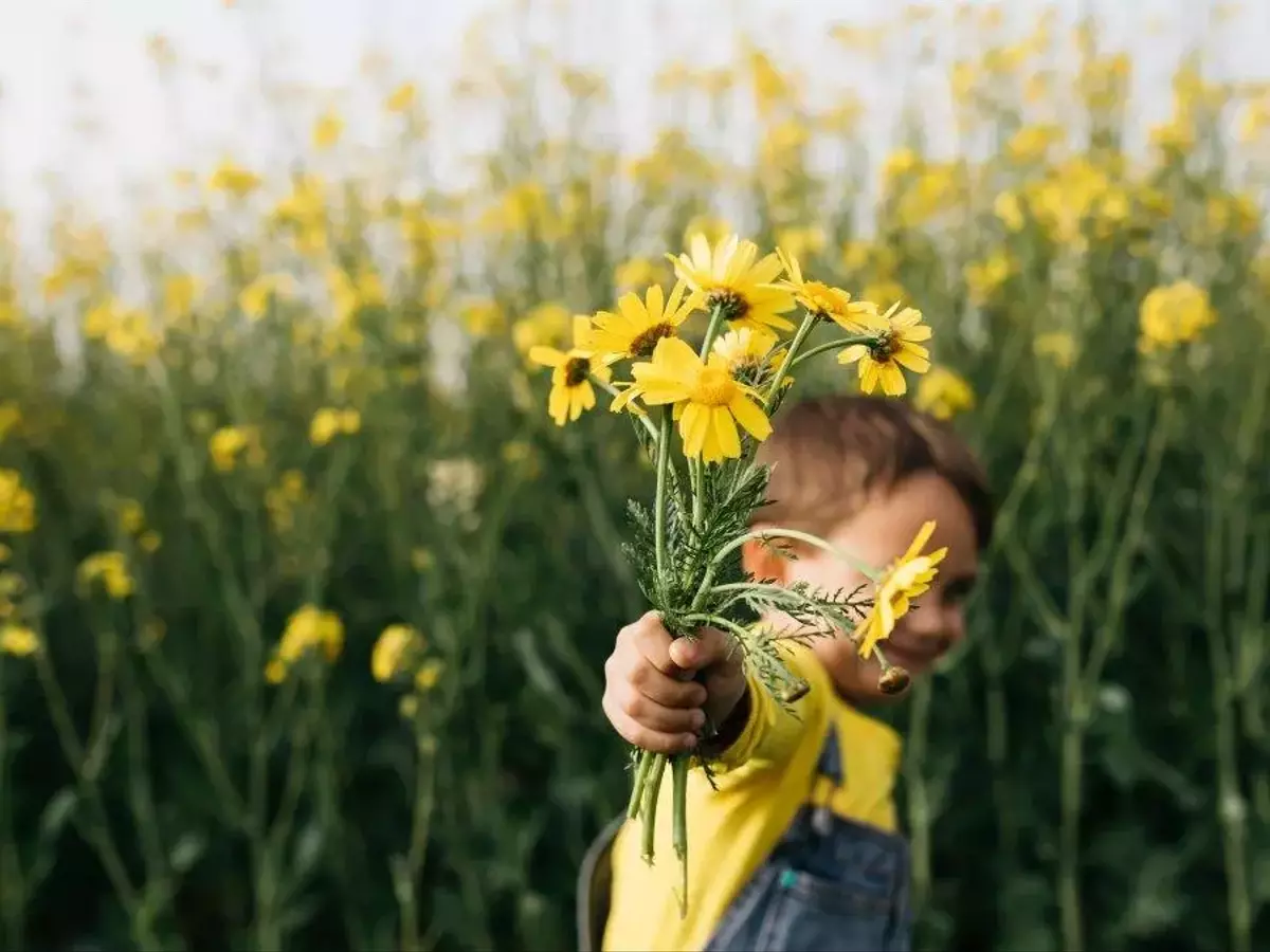Flores Amarillas el 21 de Septiembre: Un Fenómeno Cultural Inspirado en 'Floricienta'