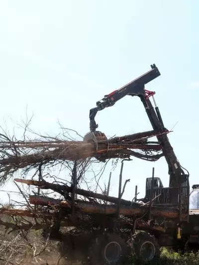 Coordinación Interinstitucional para la Recuperación Forestal Post-Incendio en Paüls