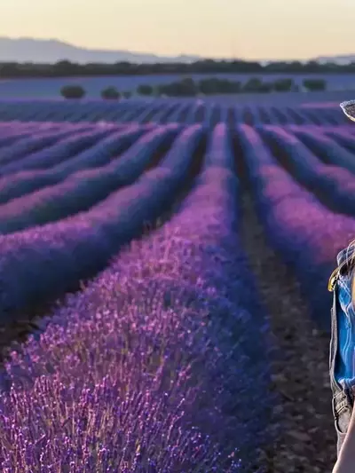 Festival de la Lavanda de Brihuega: Una Década de Aromas y Melodías