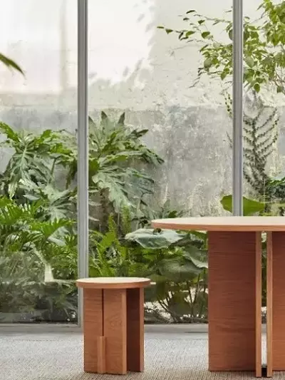 Optimización de la Luz Solar para Plantas de Interior a lo Largo de las Estaciones