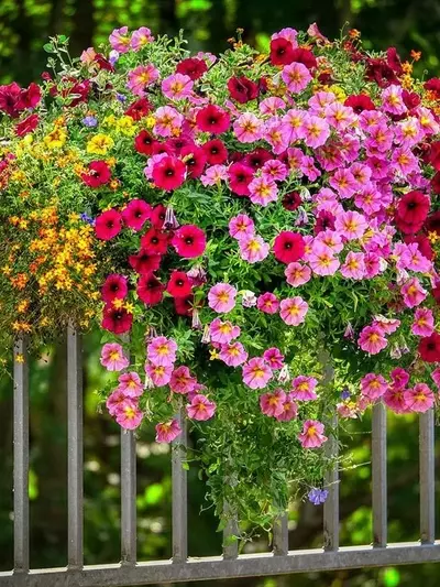 Descubriendo el Secreto de las Plantas con Florecimiento Continuo para un Jardín Siempre Vibrante