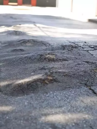 Algeciras Aborda Daños en Calles por Raíces de Árboles