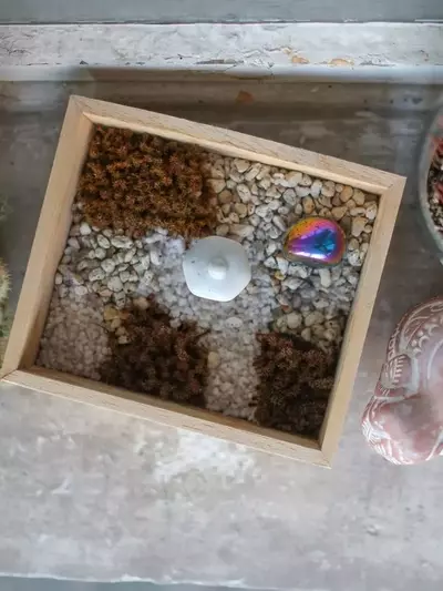 Cómo diseñar un jardín sensorial: una guía completa para estimular los sentidos