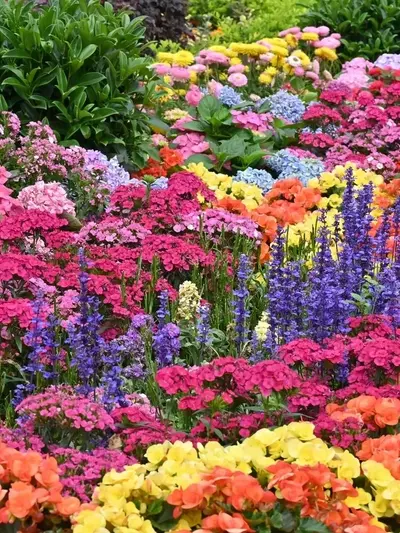 Secretos para Extender la Belleza Floral de tu Jardín