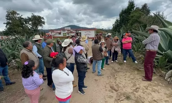 Foro Regional de Agaves Pulqueros Impulsa Protección Legal y Desarrollo Sostenible