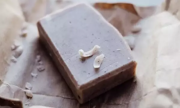 Cómo Elaborar un Poderoso Repelente Natural para Proteger tus Plantas