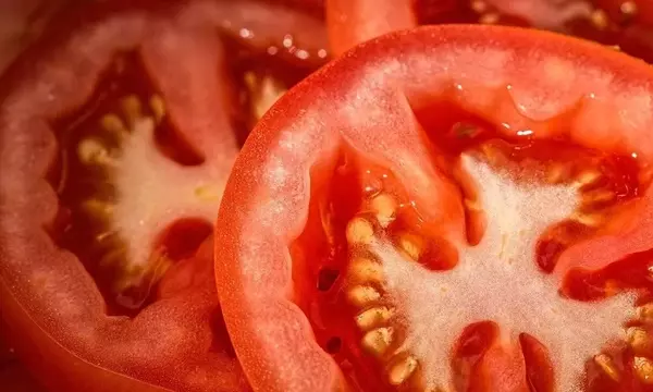 Sutamarchán: El Escenario Global del Tomate