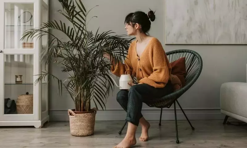 El poder verde en casa: Plantas de interior para el bienestar emocional y la salud