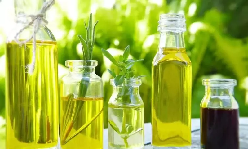Romero: El Secreto Natural para un Cabello Radiante y Saludable