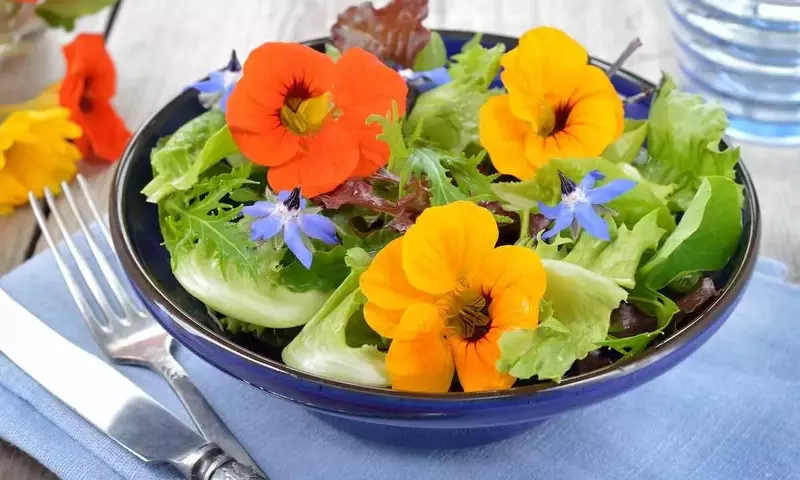 El Arte Culinario de las Flores Comestibles: Guía Completa para Explorar Sabores y Beneficios