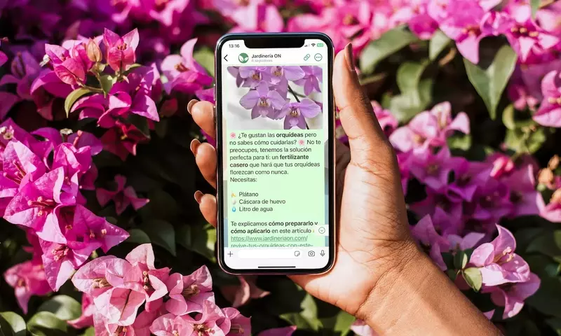 Jardinería On Lanza Nuevo Canal de WhatsApp para Entusiastas de las Plantas