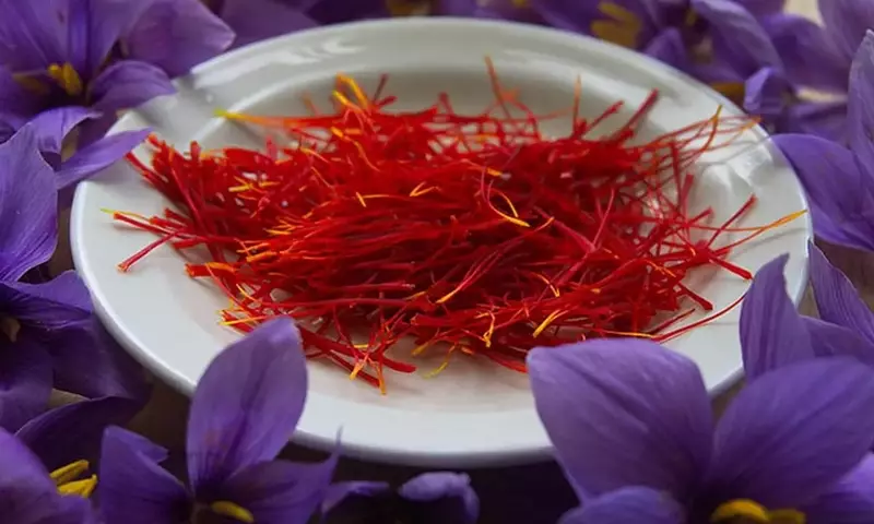 El Azafr￡n: El "Oro Rojo" que Transforma la Cocina y la Salud