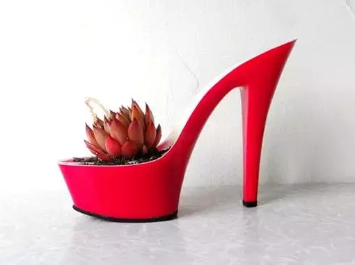 Jardinería Creativa: Transformando Objetos Cotidianos en Vidas Verdes