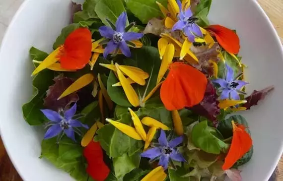 Flores Comestibles: Un Toque Exótico y Ancestral en la Gastronomía