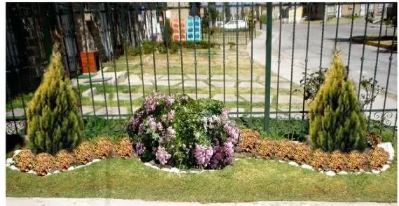 La Versatilidad de los Arbustos Ornamentales en el Diseño de Jardines