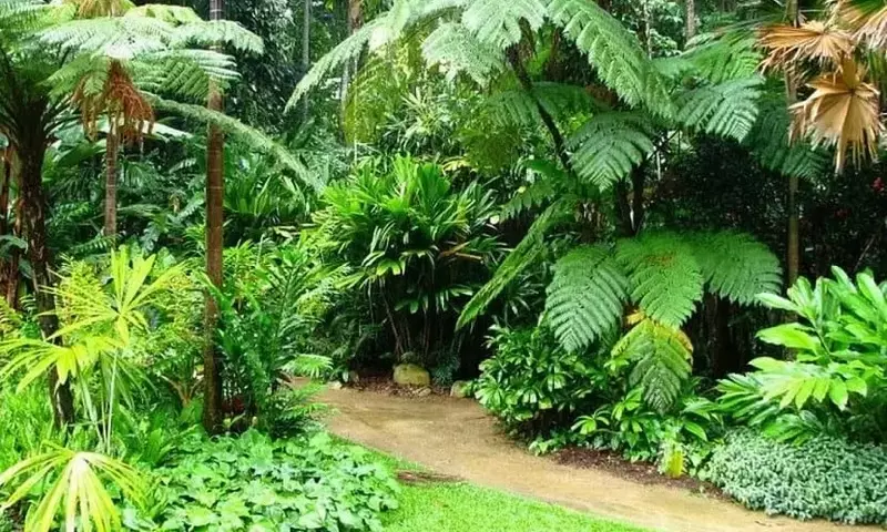 El esplendor de las plantas tropicales: un toque exótico en tu jardín