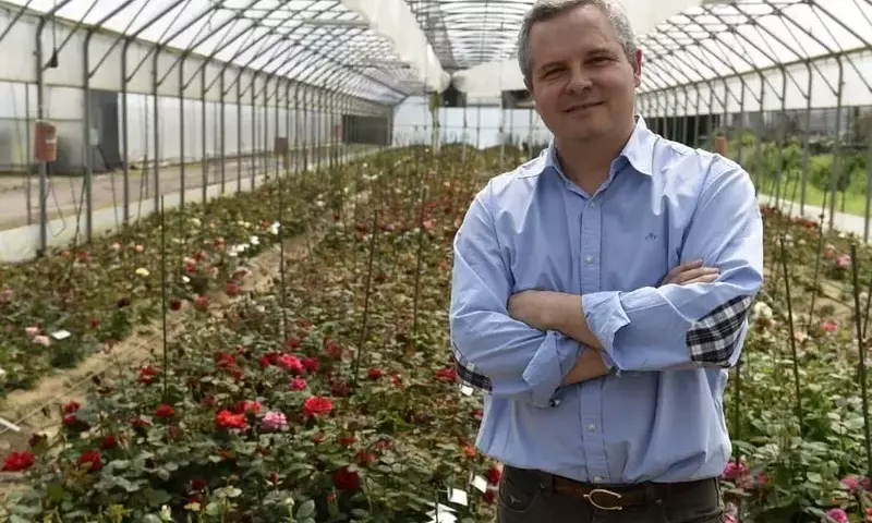 El Arte de Cultivar Rosas: Historia, Innovación y el Desafío del Aroma