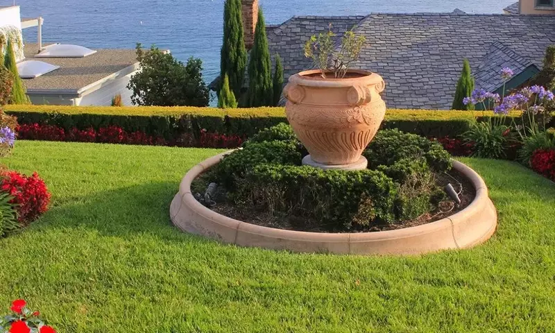 Jardines Costeros: Guía Completa de Plantas Resistentes y Estrategias de Diseño