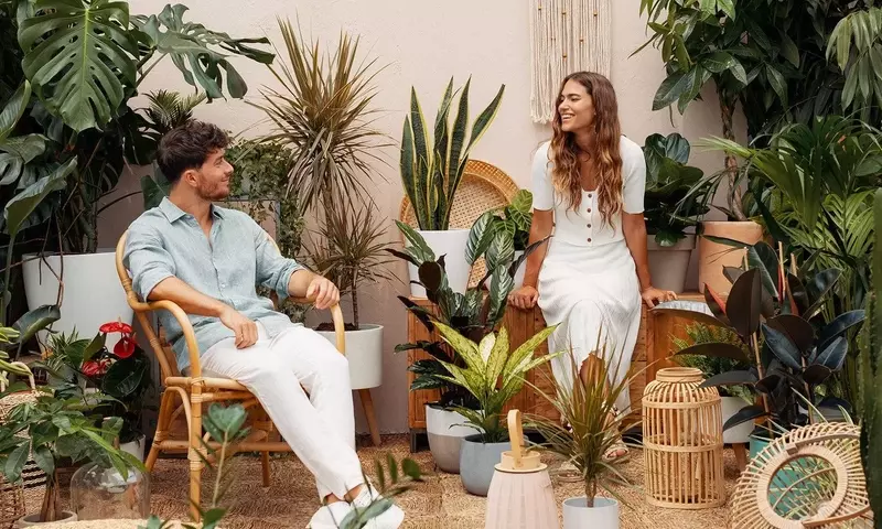 Plantas Colgantes: El Toque Natural y Sofisticado para un Hogar Saludable