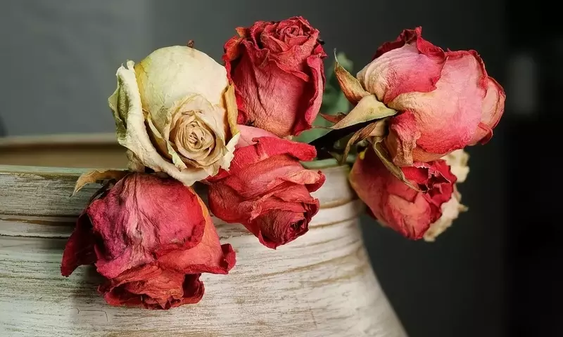 El Arte de Decorar con Flores Secas: Belleza Duradera y Creatividad en el Hogar