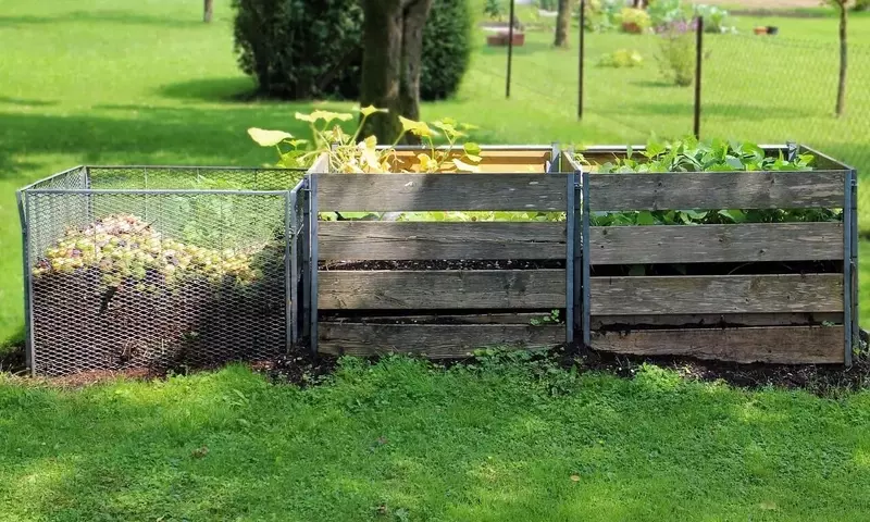 El Arte Milenario del Abonado Natural para un Jardín Vibrante