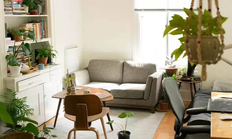 El Arte del Poto en el Hogar: Armonía y Energía según el Feng Shui