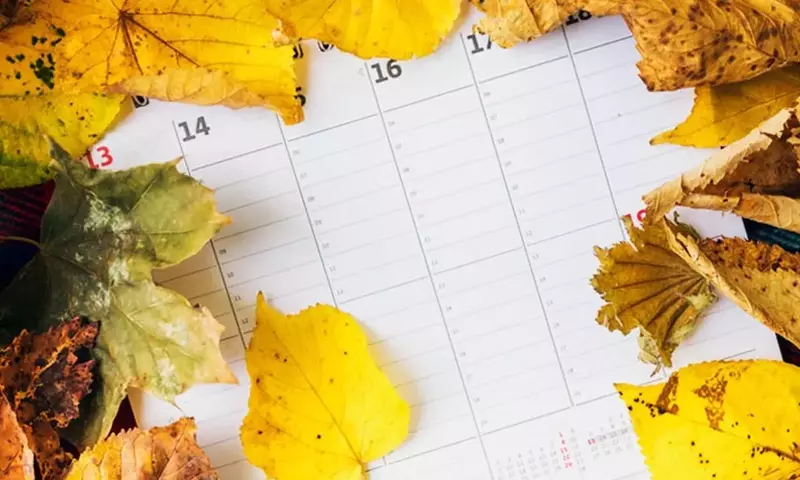 Descifrando el Calendario Natural: Cómo las Plantas Perciben y Responden al Cambio Estacional
