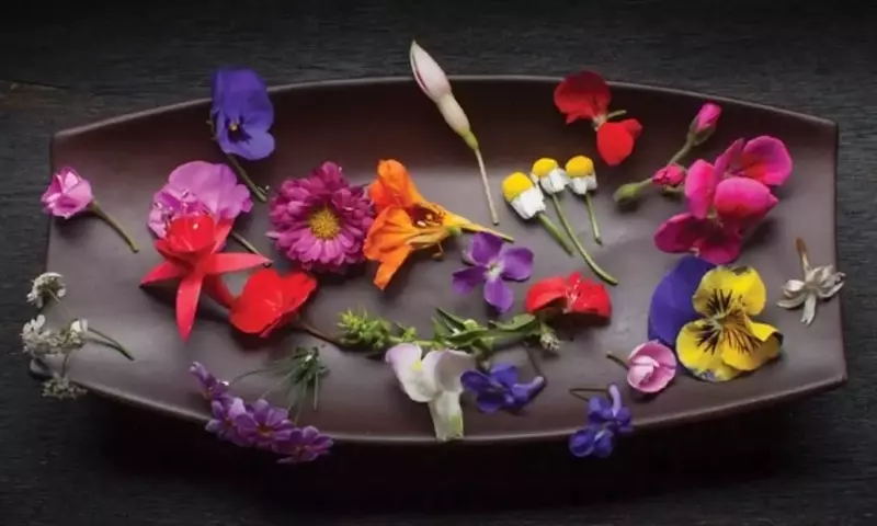 Flores Comestibles: Un Toque Vibrante y Saludable para sus Ensaladas Veraniegas