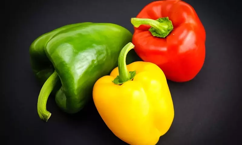 Guía Completa para el Cultivo de Pimientos en Macetas: Desde la Semilla hasta la Cosecha