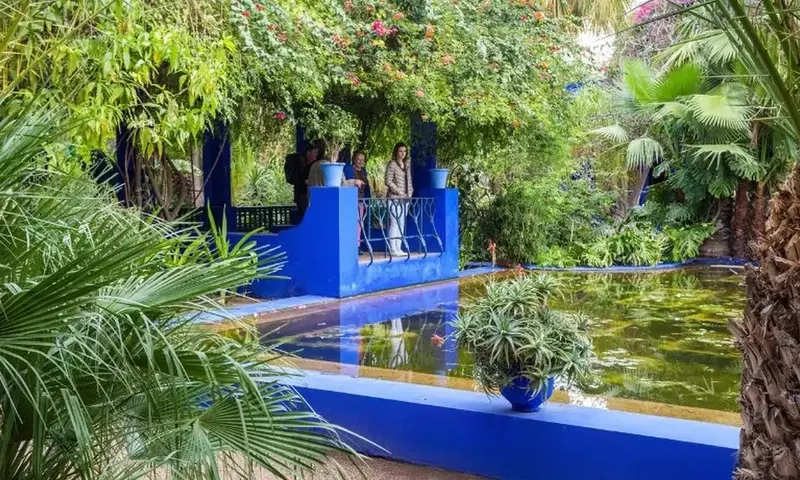 Crea Tu Propio Oasis Árabe: Un Refugio de Armonía y Belleza