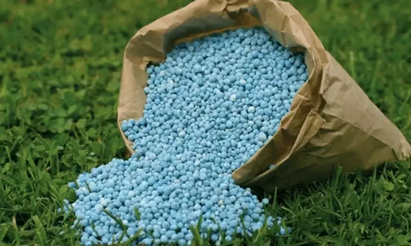 Guía Completa para el Uso Óptimo del Abono Azul Universal en Macetas