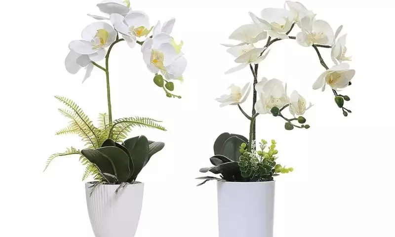 Orquídeas Artificiales: Elegancia Duradera para Cualquier Espacio