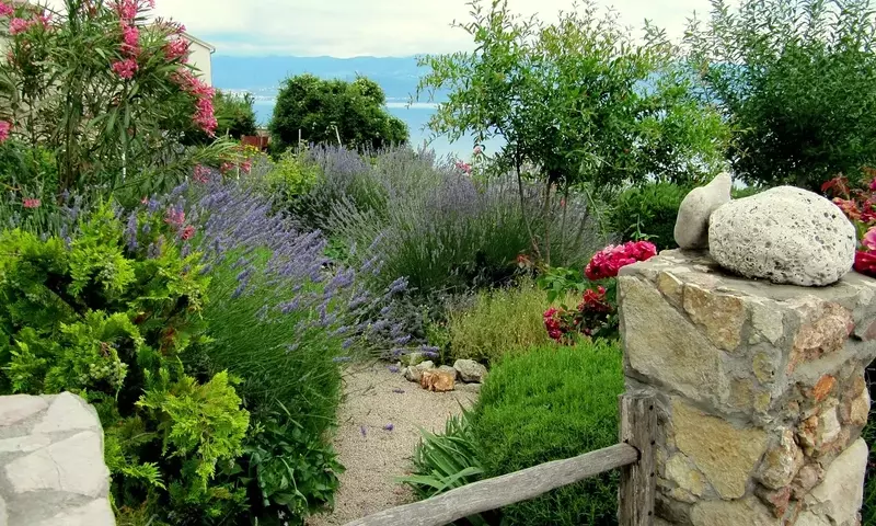 Plantas Cubresuelos Resistentes a la Sequía: La Solución Ideal para Jardines de Bajo Consumo Hídrico