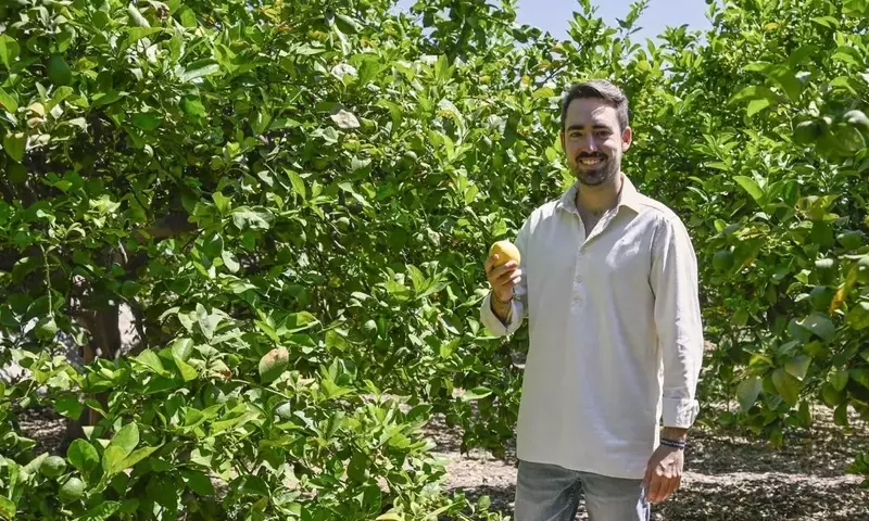 Aranjuez Implementa Estrategia Fitosanitaria para Proteger sus Olmos Urbanos