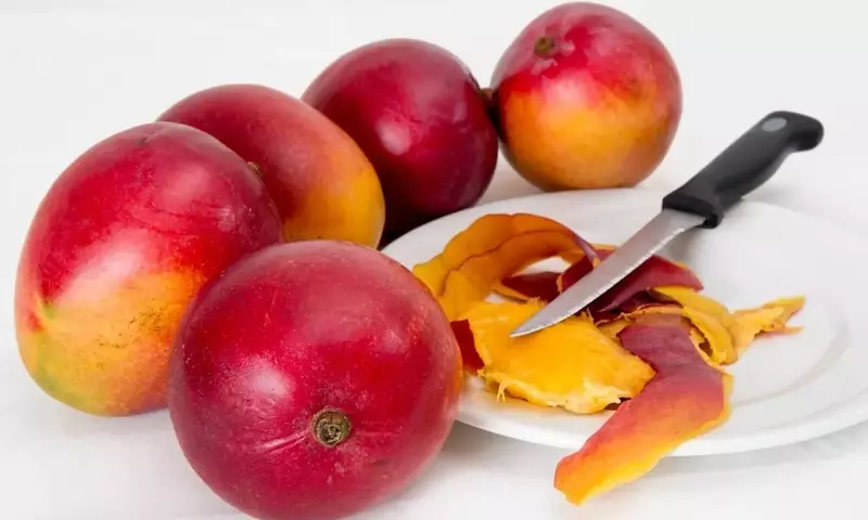Guía Completa para el Cultivo de Mango desde su Semilla