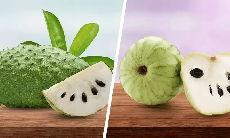 Guanábana y Chirimoya: Un Dúo Tropical con Distinciones y Virtudes Únicas