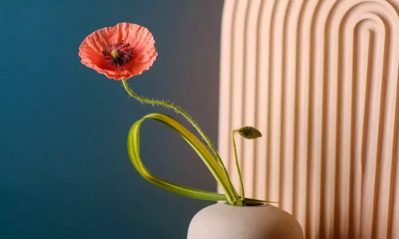 Ikebana: La Armonía Floral Japonesa y Su Profundo Conexión Natural