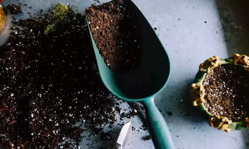 Explorando los Diversos Tipos de Huertos para el Cultivo en Casa y Otros Espacios