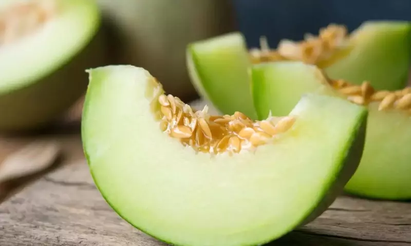 El Futuro del Melón Español: Desafíos y Oportunidades en el Mercado Agrícola