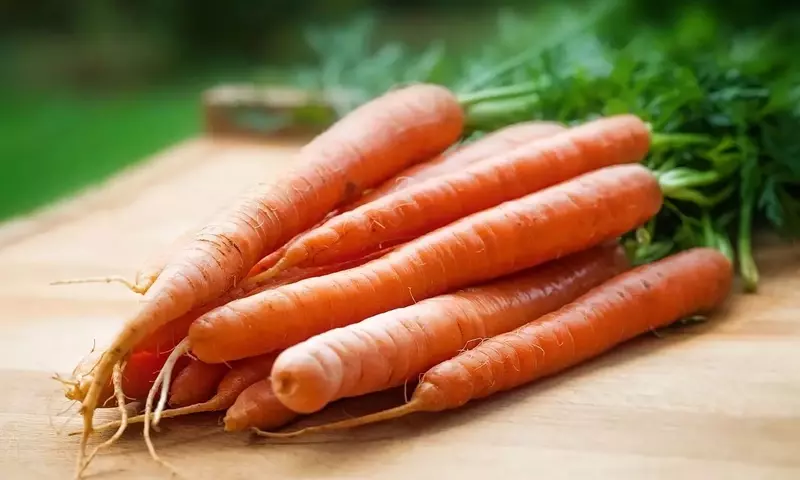 Cultivo de Zanahorias Sin Semillas: Una Guía Detallada