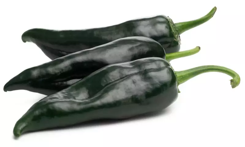 Chile Poblano: El Corazón Culinario y Nutricional de México