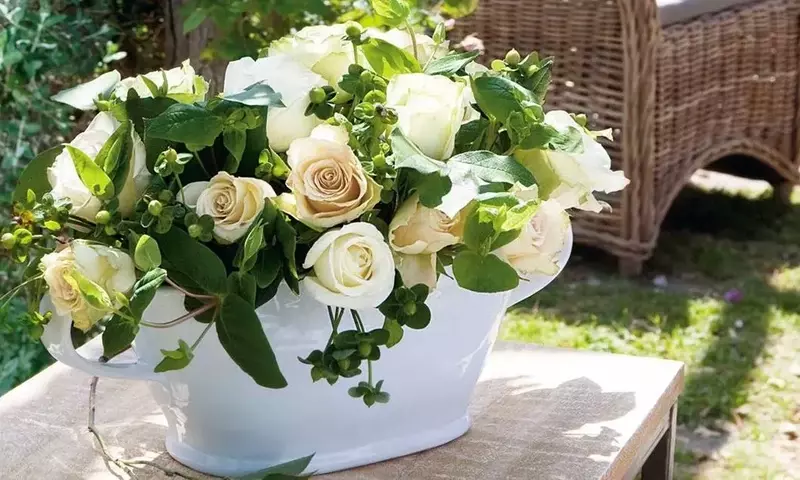 La Semiótica Floral: Un Viaje Global por el Lenguaje de los Colores y Especies