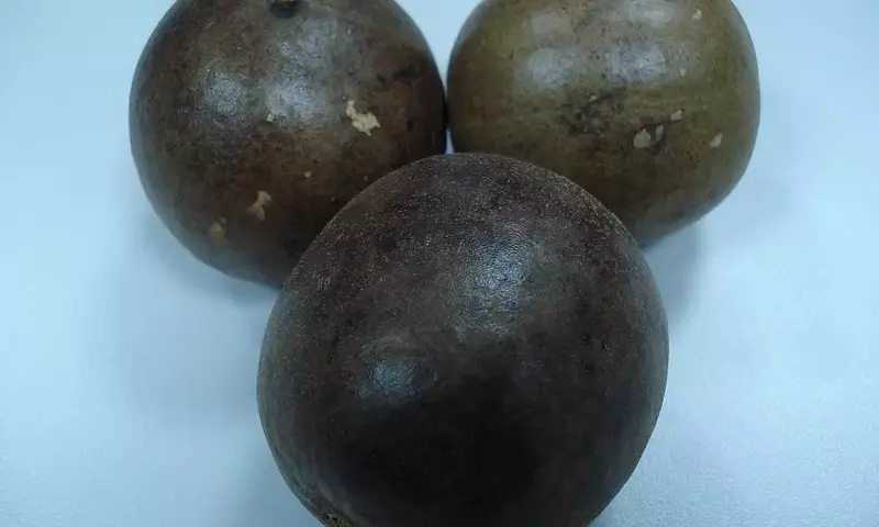 La Fruta del Monje: Un Edulcorante Natural con Historia y Beneficios Saludables