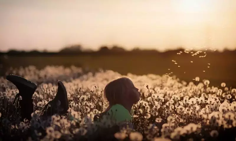 Estrategias para Salvaguardar tus Plantas de los Niños